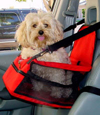 Luxere Pet ~ Pet Lookout Car Booster Seat (NYLON - RED)